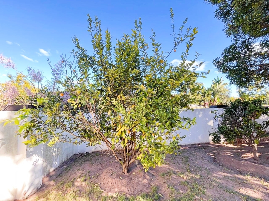 2 Bedroom Property for Sale in The Village Western Cape